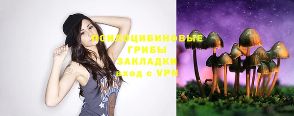 первитин Снежногорск