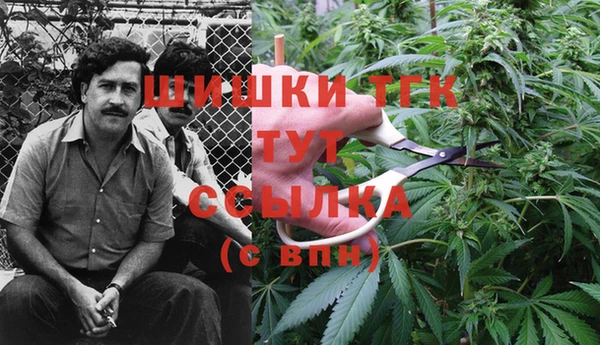 ГАЛЛЮЦИНОГЕННЫЕ ГРИБЫ Семилуки